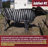 1743791737617839