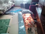 indoor_chicken