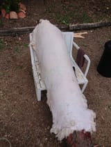 IMG_20250413_132057_272