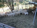 IMG_20250414_161241_203