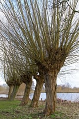 IMG_8615