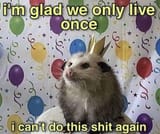 possum party birthday im glad we only live once i cant do this shit again