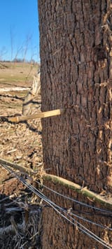 fultoncountydamage