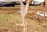 jarrell-1997-tornado-damage-v0-479zidowf03d1