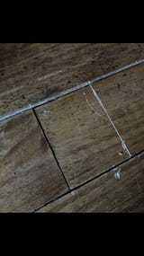 IMG_9602