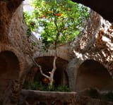 Orange-Tree-Courtyard0-17c30d7b5056a36_17c30ebe-5056-a36a-08d4415b75e33e35