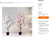 sakura tree