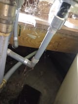 IMG_20250610_090520