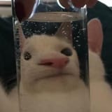 mrw