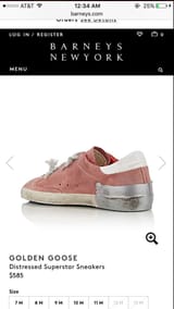 600 dollar worn shoe
