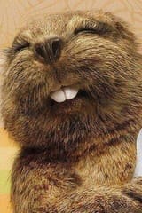 huhu