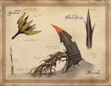OB-concept-06