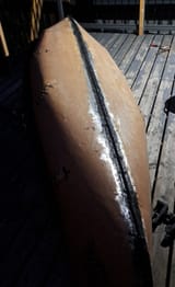 1000024629