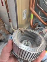 1730630421825805