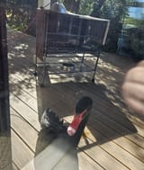 20250523_093510