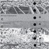 plastics_under_microscope