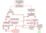 Ham transmit flowchart