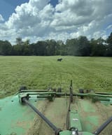 IMG_0890