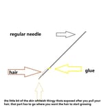 Thread 2932447 OP Image