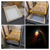 6 day viability candling &amp; brooder tray