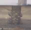 20250721_134245_1_1_thumb.jpg