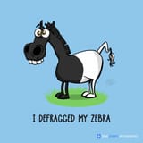 DefraggedZebra
