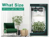 auto raising led