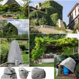 Climbing Plants and Fake Rocks