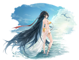 harbin_(union_between_sea_and_sky)_(azur_lane)