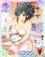 Asuka naked apron