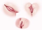 pussy_study_by_louthri_dez7okb