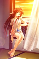 casual_window_elf