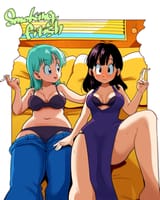 bulma_chichi_small