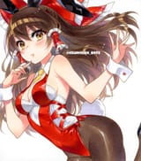 __hakurei_reimu_touhou_drawn_by_chacham__6948919fed11ec78ff2dbd3d576d10ed