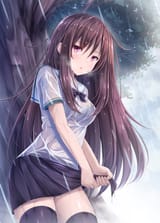 wet208