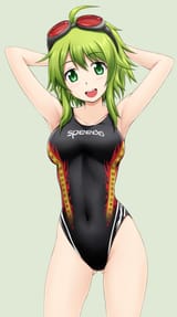 ss-gumi(fuuma_nagi)