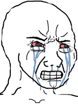 903-9038711_rage-crying-meme