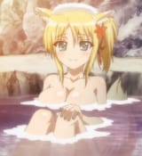 yukihspring