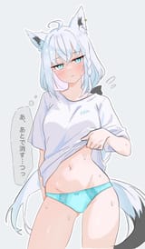 __shirakami_fubuki_hololive_drawn_by_warg_game__c174d6f6023b24a85cd0a68115980ec3