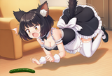 pickle1