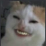1734441340408757