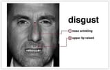 disgust