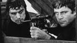 sittingtarget1972