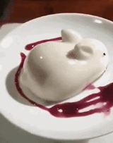 bunny