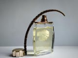 lalique pour homme lion
