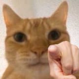 1654050151228