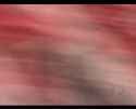 Lluvy 72_thumb.jpg