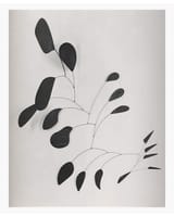 calder-in-the-field