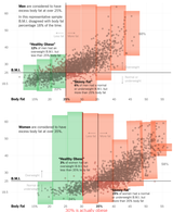 bodyfat-bmi-jumbo-v2