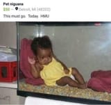 1728273763189430